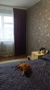 Продаж 3 кімнатної квартири смт Озерне