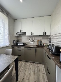 Харківська область, Харків, Шевченківський