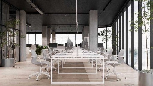 Київська область, Київ, Голосіївський