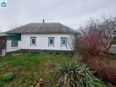 ПРОДАЖ будинку з ділянкою 25 соток (с. Єлизаветівка) (Н)