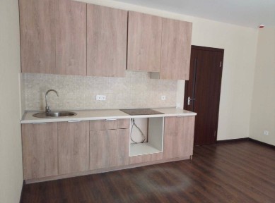 Продажа 1-комнатной квартиры 33.34 м², Василия Спрейса ул.