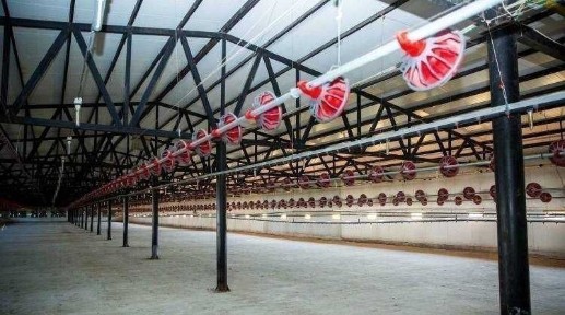 Птахофабрика на 400 т/г та 2,5 млн. гол./рік з забійним цехом 2500/год