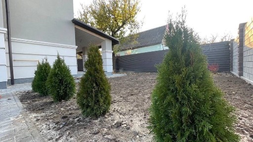 Київська область, Буча