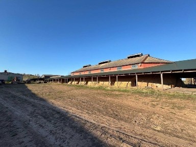 Продаж діючого цегельного заводу Львівська обл.