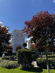 Київська область, Святопетрівське