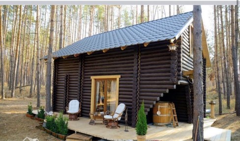 Оренда будинку в лісі біля річки з банею.