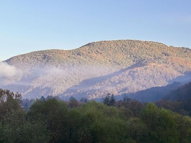 Здаються апартаменти біля санаторію 