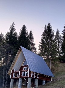 СВОБОДА 2.Синевирська поляна