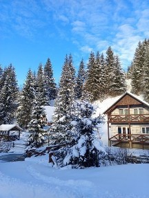 Закарпатська область, Свобода