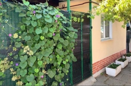 Продажа 3-комнатной квартиры 40 м², Хмельницкого Богдана ул.