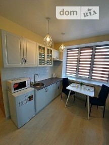 Дніпропетровська область, Дніпро, Центральний