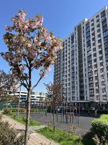 Київська область, Київ, Подільський