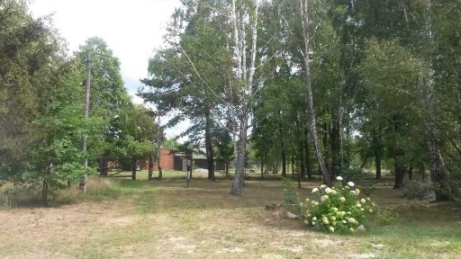 Гостьовий домік на дачі біля лісу подобово, баня на дровах