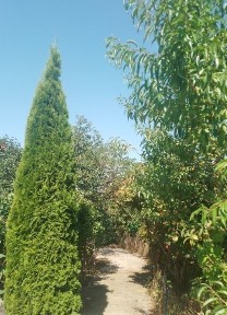 Продається недобудова з чудовою панорамною ділянкою.