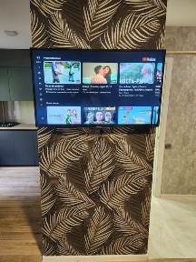 Запорізька область, Запоріжжя, Шевченківський