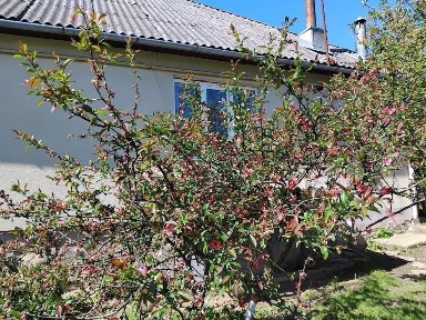 Продаємо будинок село Голубине Закарпатської