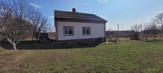 Продам цегляний будинок в Бабині