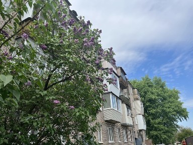 ‼️Однокімнатна квартира за 9200$ вул. О. Поради