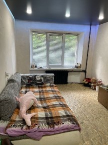 Пропонуємо в оренду однокімнатну квартиру в р-йні парку «Сосновий бір»