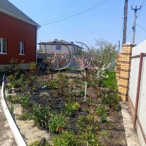 Київська область, Білогородка