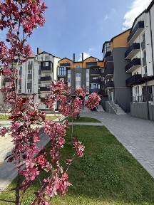 2 кімнатна квартира|вул. Львівська|м. Дубно