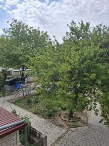 ПРОДАЮ 1кв. ул. Декабристов- пр. Центральный