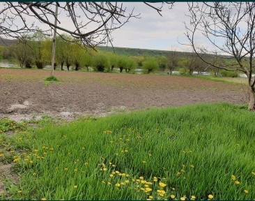 Продається будинок Дача