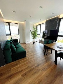 Дніпропетровська область, Дніпро, Шевченківський