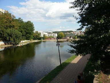 В оренду будинок Голосієво вул. Весняна ст. метро Деміївка
