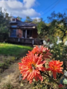 Продам будинок в лісництві! Селище Димер