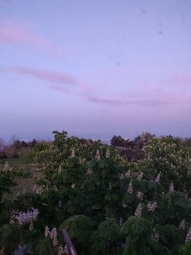 Одеська область, Чорноморськ