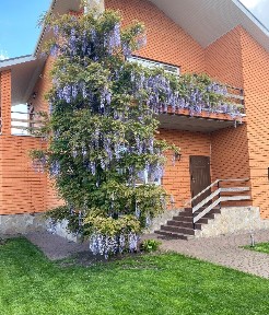 Аренда дома 200 м²