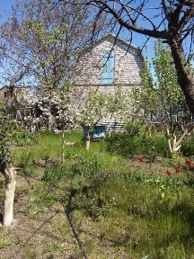 Продам дачу с. Осетрівка Миколаївський район