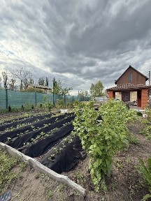 Київська область, Раківка