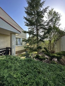 Дніпропетровська область, Новоолександрівка