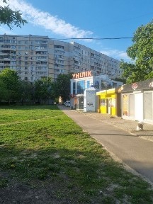 Харківська область, Харків, Шевченківський