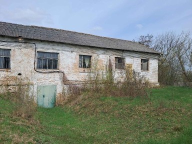 Київська область, Дружня