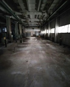 Київська область, Біла Церква