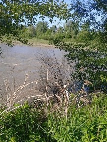 Продам недобудовану дачу в Садках, перша лінія до Прута.
