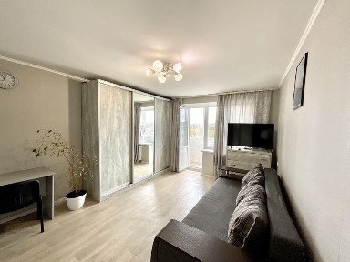 Чудова однокімнатна квартира з стильним євроремонтом. Подобово