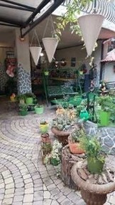 Одеська область, Крижанівка