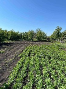 Кіровоградська область, Кропивницький, Фортечний