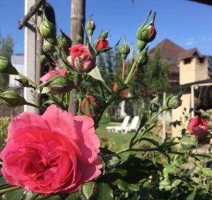 Оренда будинку баня, святкування свят, мангал озеро альтанка більярд