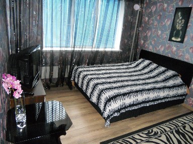 1-кімнатна квартира подобово 36 м², Теодора Драйзера вул., 8Б
