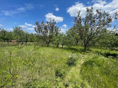 Продам дачу с Волоське