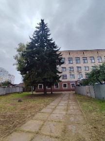 Здається офіс оренда Центр вул Грушевського Благовісна