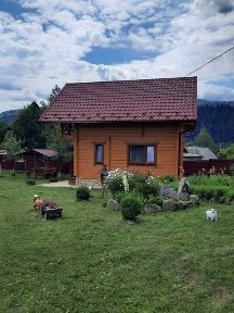 Відпочинок у Микуличині