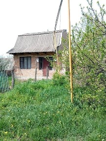 Житомирська область, Бровки