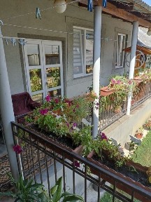 Здається будинок біля термальних басейнів Косино