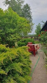 Оренда будинку подобово з лазнею, поряд з сосновим лісом та річкою, є